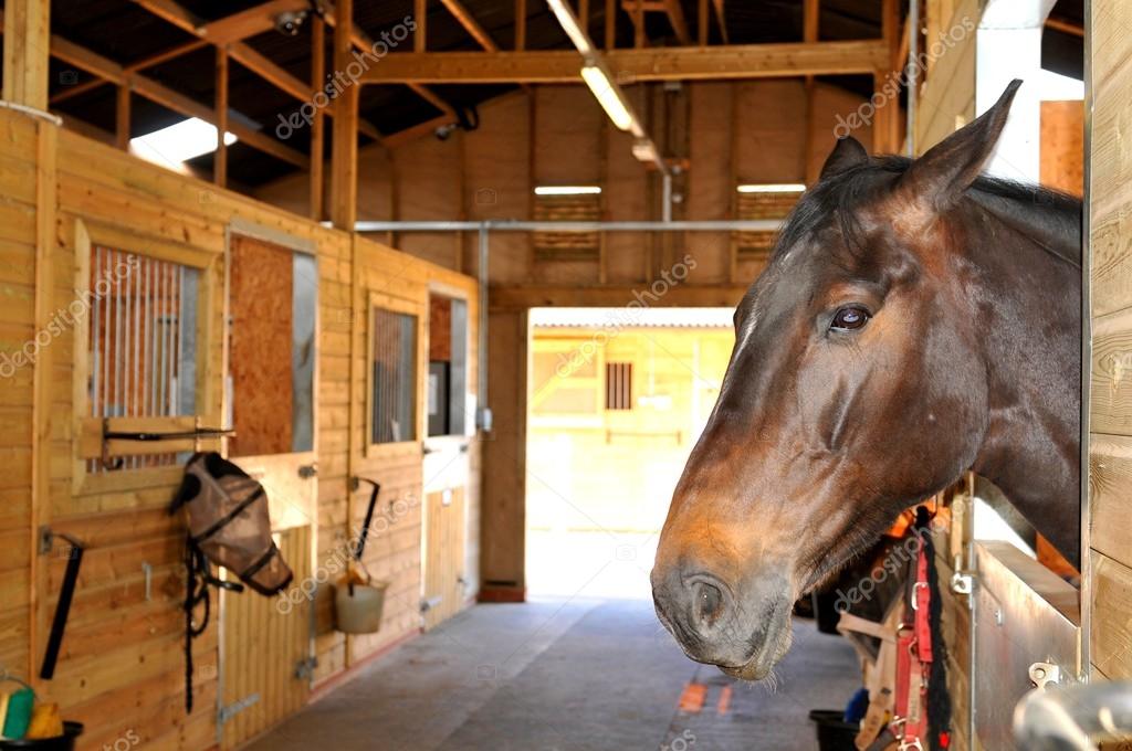 Pferdehof mit Sätteln und Blick in die Landschaft